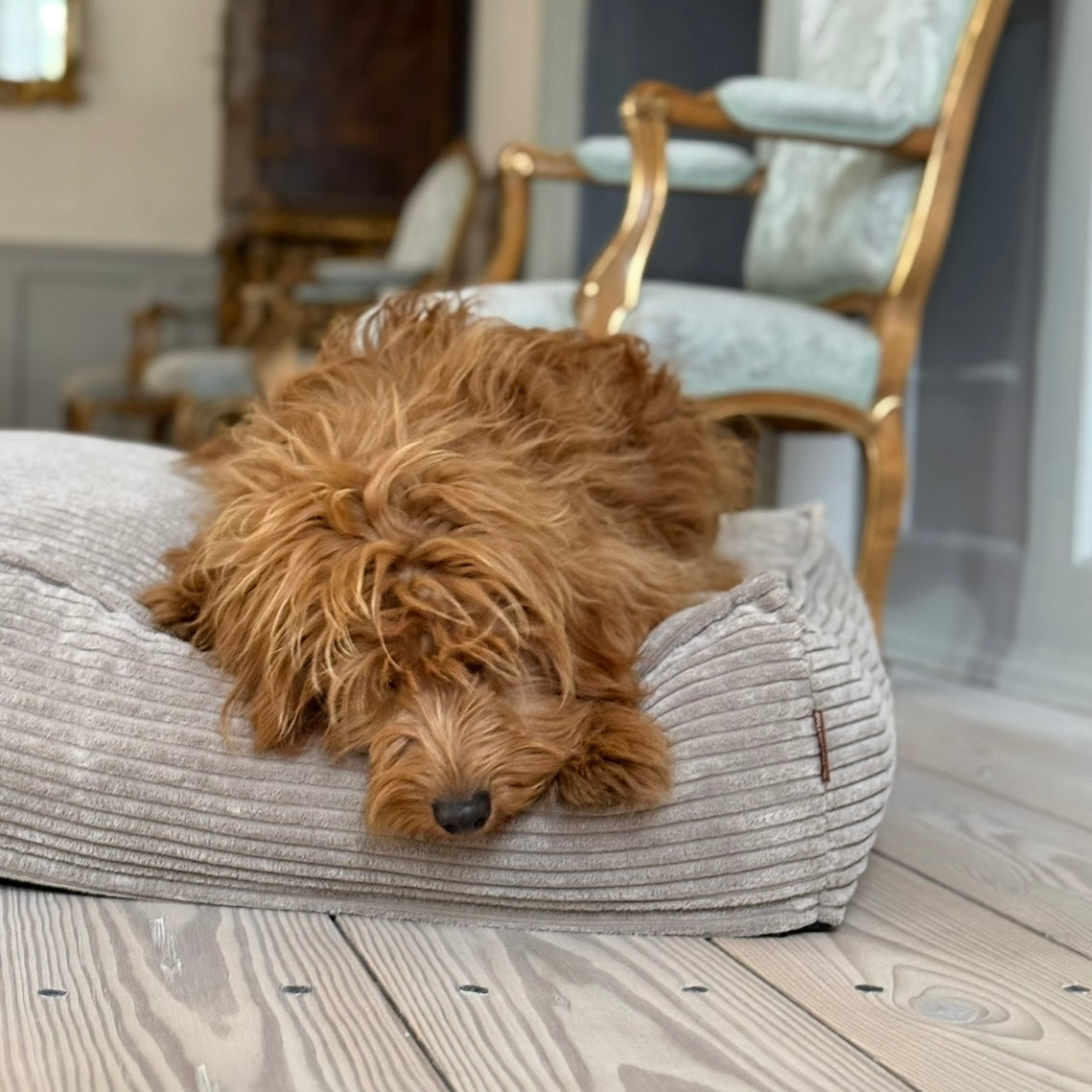 Frede Hundekurven Beige