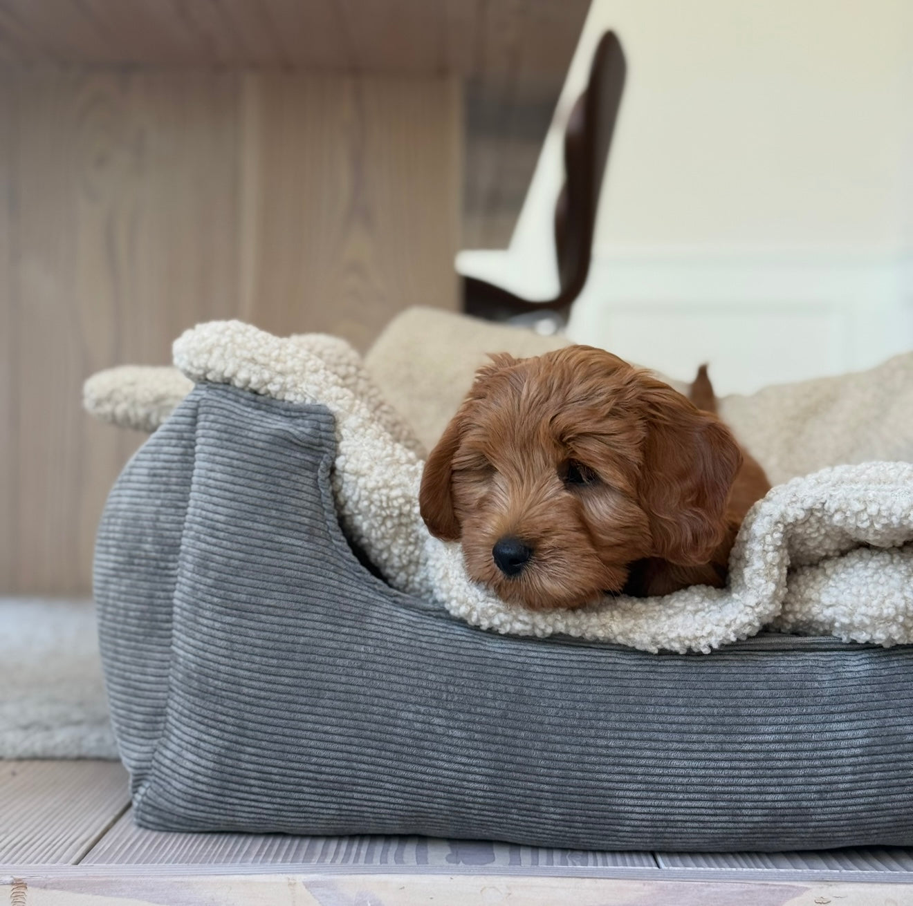 Sherpa Fleece Tæppe Natur