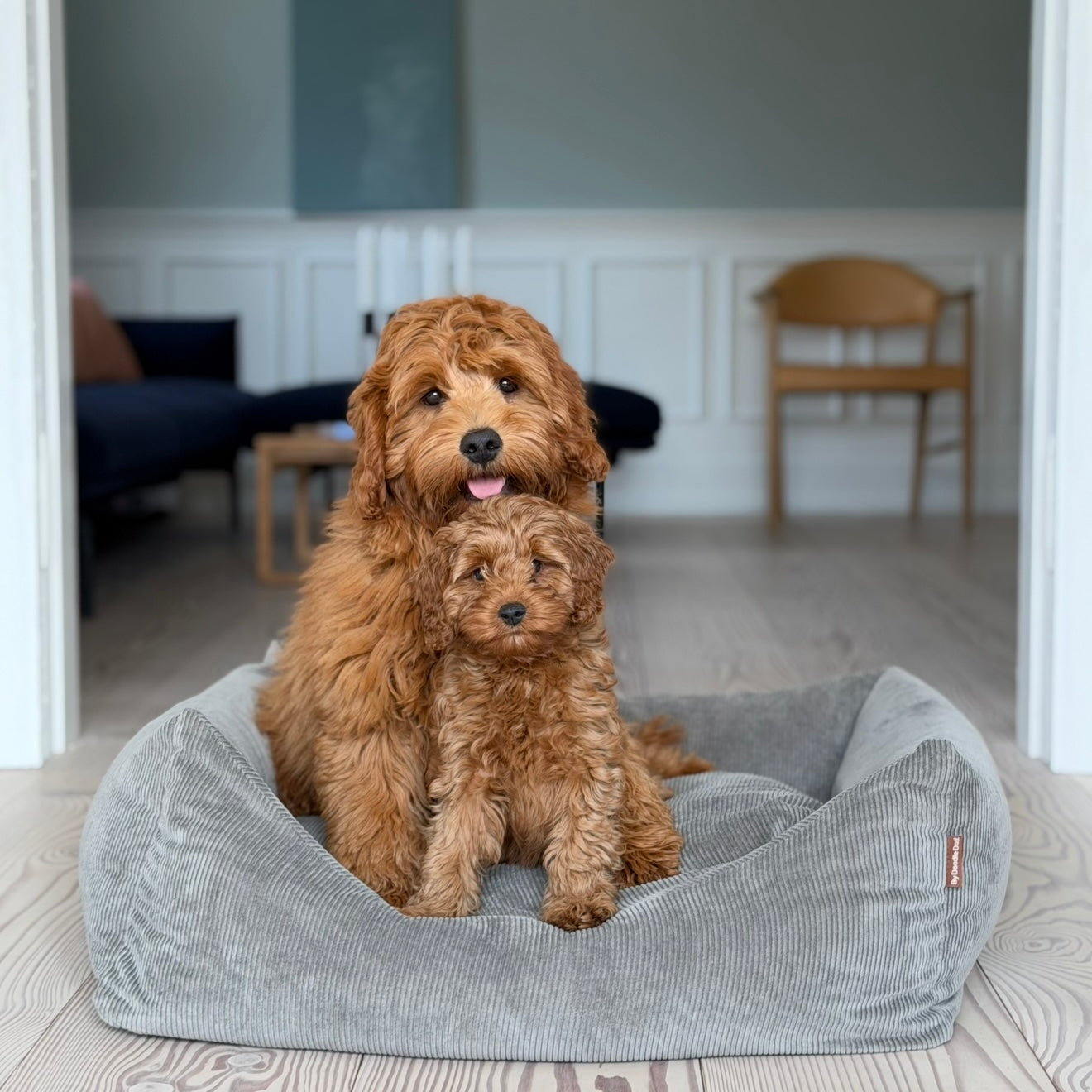 Bjørk Hundekurv Smal Fløjl Grå