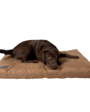 Buster Memory Foam    Camel