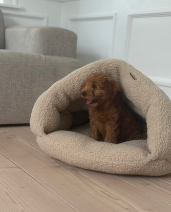 Elfe Hule Hundekurven Natur Sherpa Fleece