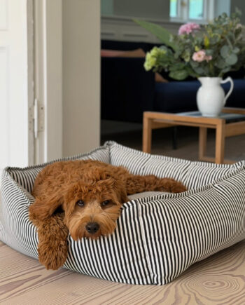 Anna Hundekurven Sort   Creme Stribet