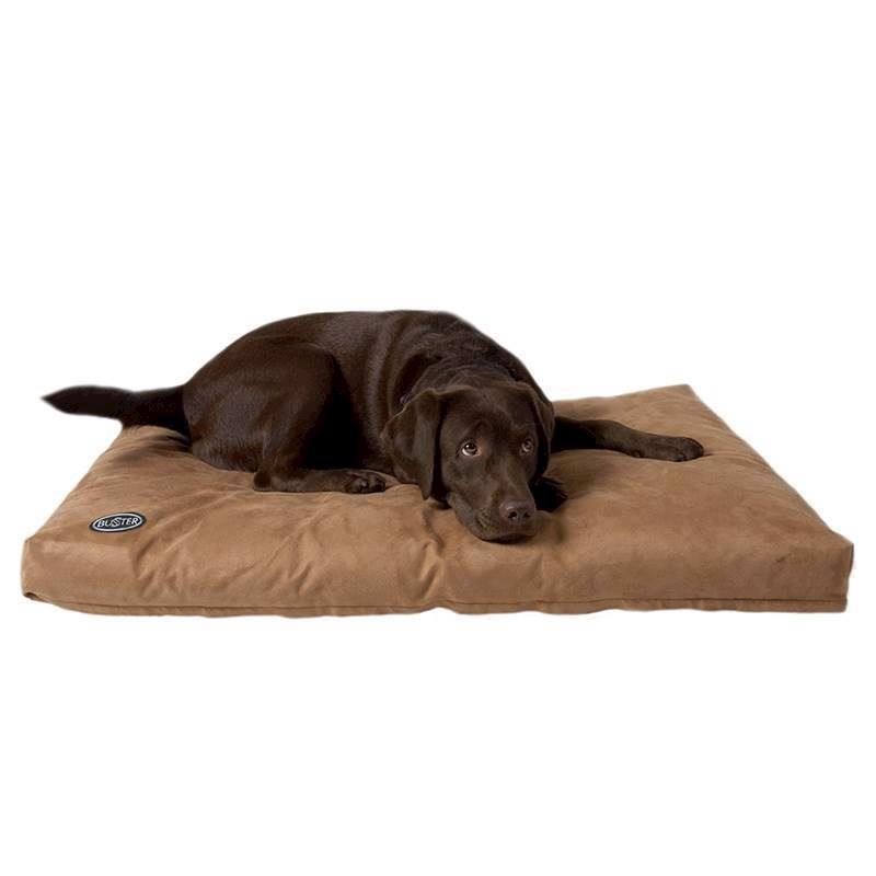 Buster Memory Foam    Camel