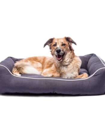 Dog Gone Smart Lounger Hundeseng Brun