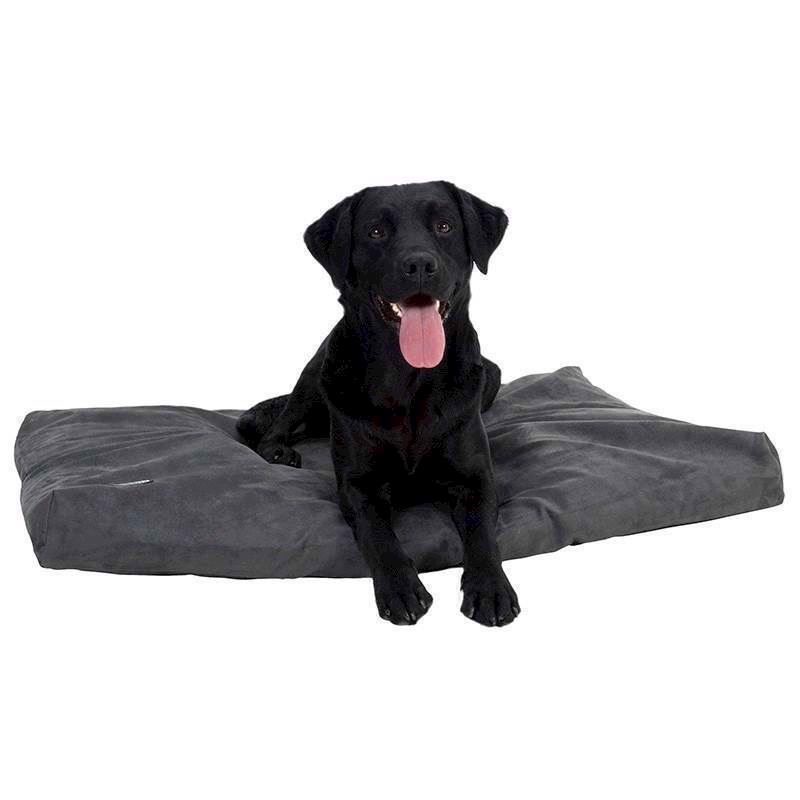 Buster Memory Foam    Grå